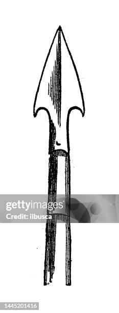 stockillustraties, clipart, cartoons en iconen met antique engraving illustration: pike, spear - speer