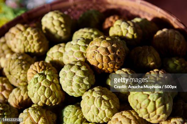 close-up of fruits in basket,bengaluru,karnataka,india - cherimoya stock-fotos und bilder
