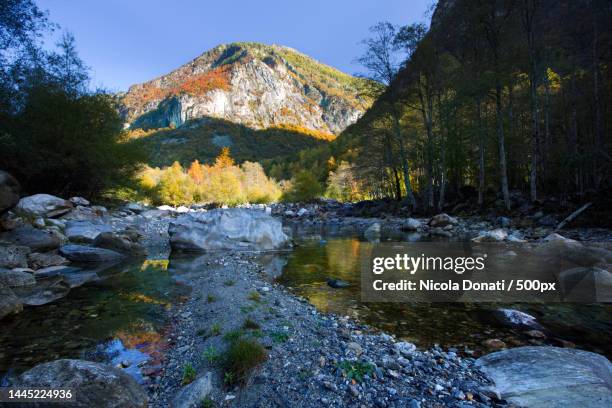 scenic view of river amidst trees against sky,ticino,switzerland - nickola beck stock pictures, royalty-free photos & images