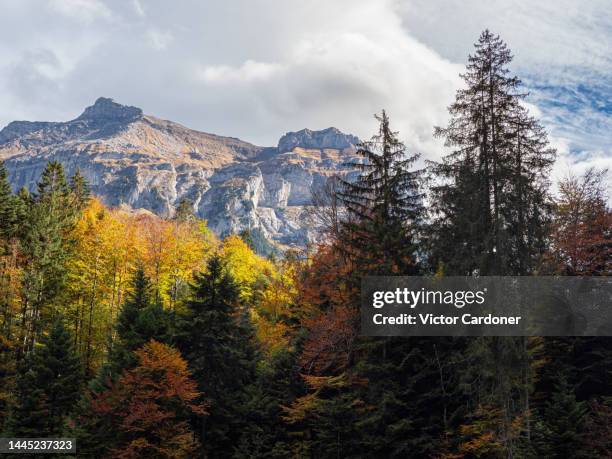 autumn colors - blausee stock-fotos und bilder