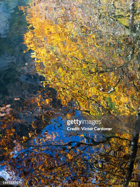 blausee lake - blausee stock-fotos und bilder