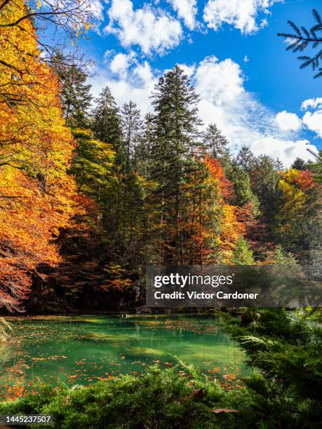 blausee - blausee stock-fotos und bilder