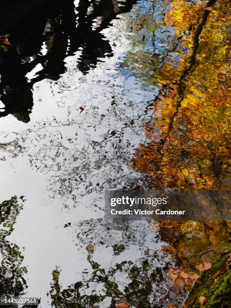 blausee lake - blausee stock-fotos und bilder