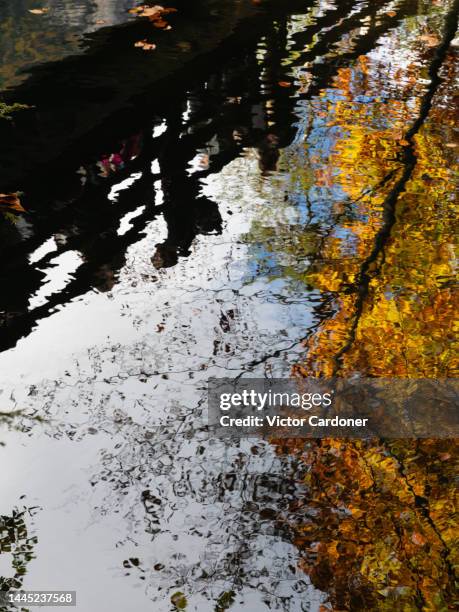 blausee lake - blausee stock-fotos und bilder