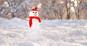 Snowman in red knitted hat and scarf with carrot nose and joyful smile in snowy winter park