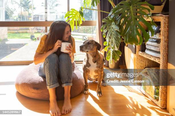 a woman sits with a cup of tea and her dog in a sunlit room - millennial generation stock pictures, royalty-free photos & images