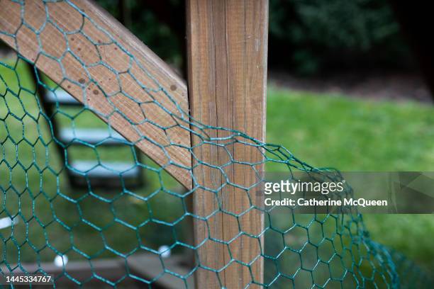 making a cage with chicken wire fencing - poultry netting stock pictures, royalty-free photos & images