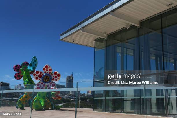 General view of the Sydney Modern Project building and artwork by Yayoi Kusama titled 'Flowers that Bloom in the Cosmos' at Art Gallery Of NSW on...