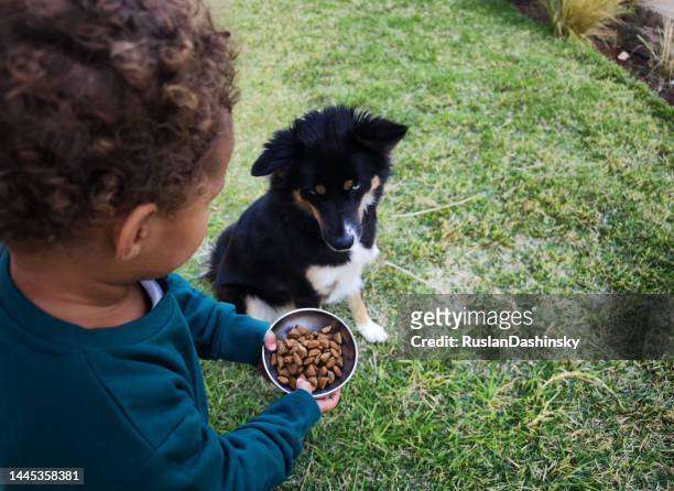 das kind, das hund füttert. - dog eating a girl out stock-fotos und bilder