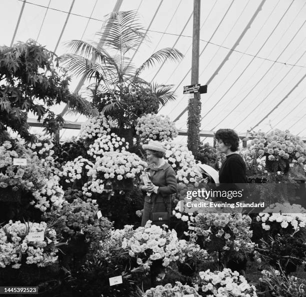 Women viewing a display of cut flowers at the Chelsea Flower Show in London on May 18th, 1961.