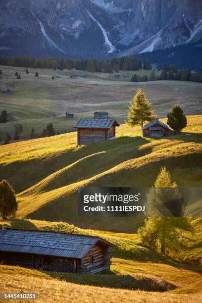 alpe di siusi, south tyrol, italy - seiser alm stock pictures, royalty-free photos & images