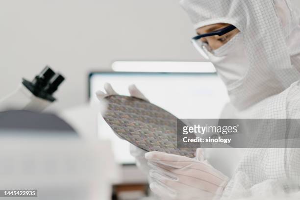 engineers are checking wafer chips in laboratory - silicone 個照片及圖片檔