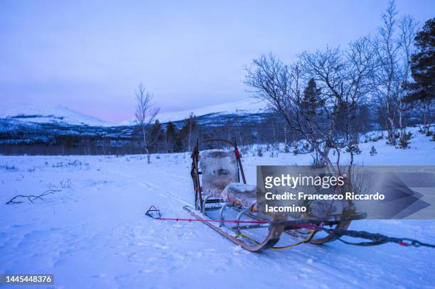 dog sledge in the snow, polar night. - sleigh dog snow stock pictures, royalty-free photos & images