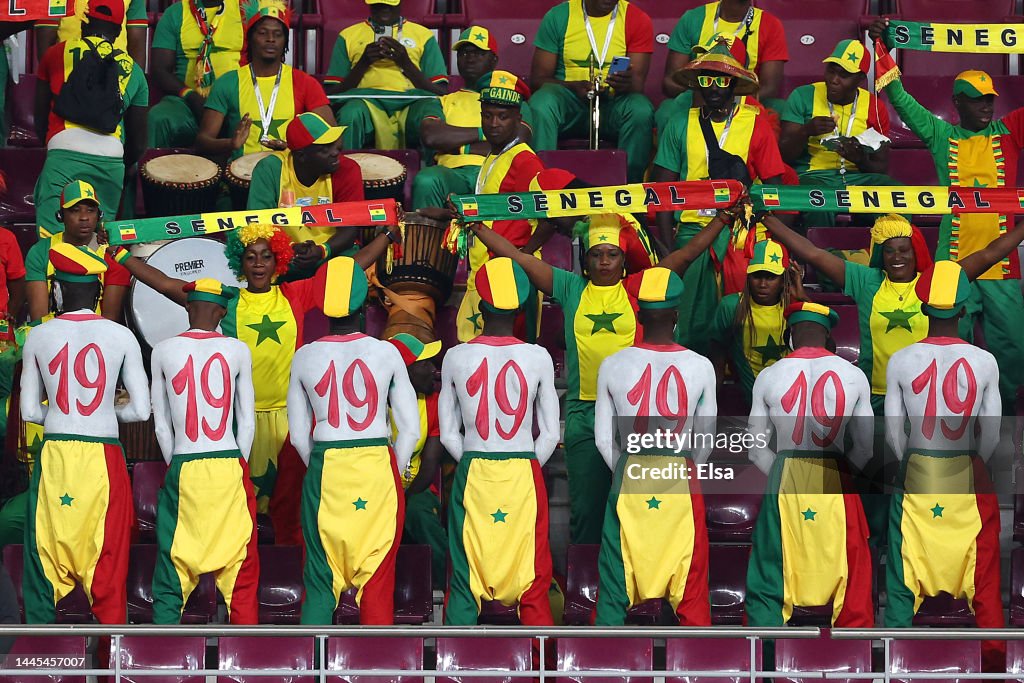 Ecuador v Senegal: Group A - FIFA World Cup Qatar 2022