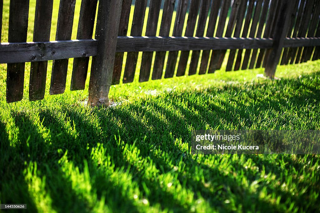 Bright sunshine on wooden fence on summer day