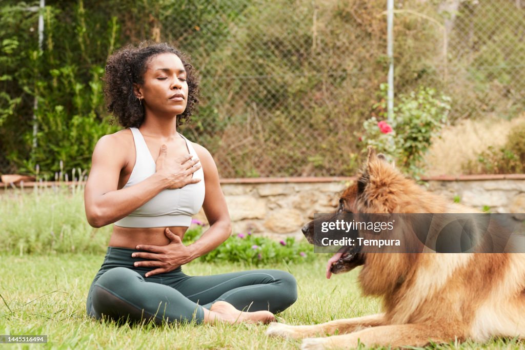 ハンサムなジャーマンシェパードと一緒に屋外でヨガプラナヤマ呼吸法を練習する魅力的な多民族女性