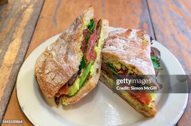 rustic ciabatta bread roll sandwich with trout and vegetables (sun-dried tomato, spinach, caramelized onion, roasted eggplant) on an enamel tin plate - trout stock pictures, royalty-free photos & images