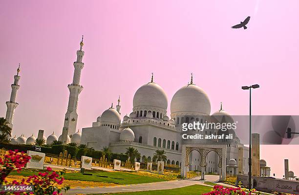 glimpse of sheikh zayed grand mosque - grand mosque 個照片及圖片檔