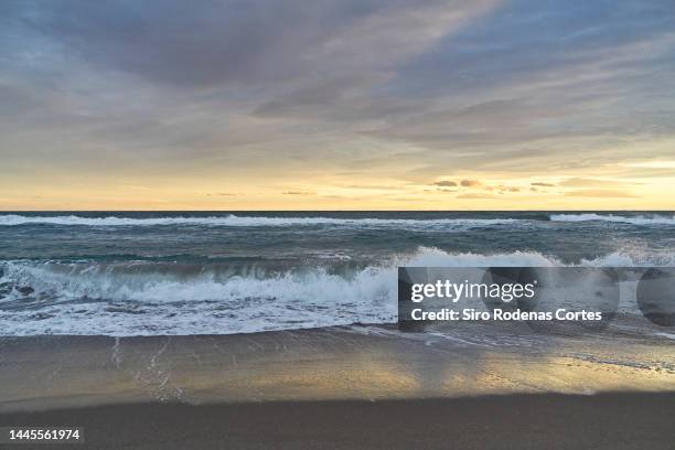 windy day at sunset on the beach - bewolkt stockfoto's en -beelden