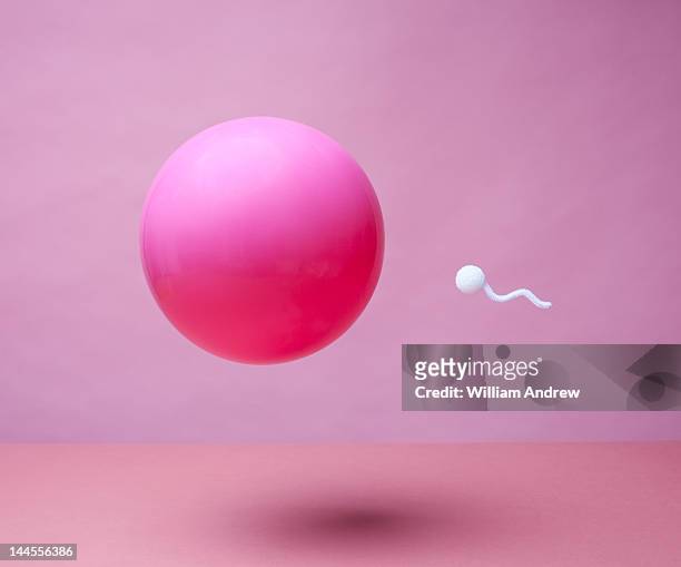 lone sperm swimming toward egg - human egg stockfoto's en -beelden