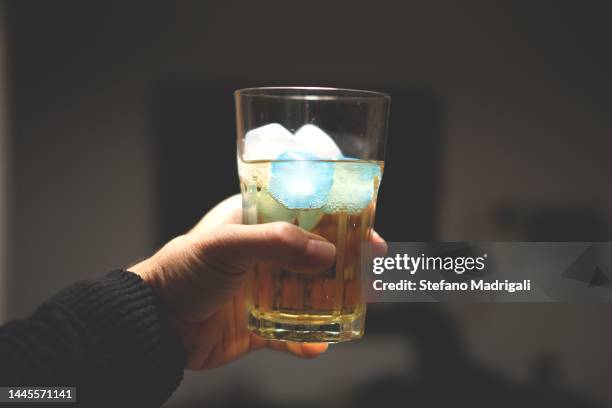 celebration with cocktails - ice cube house stock pictures, royalty-free photos & images