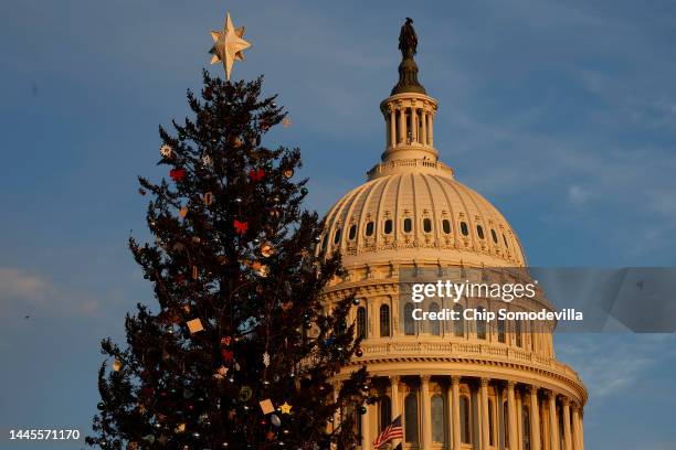 Capitol Christmas Tree stands on the West Lawn ahead of its lighting ceremony on November 29, 2022 in Washington, DC. The 79-foot-tall red spruce,...