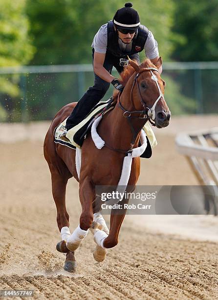 Exercise rider Jonny Garcia takes I'll Have Another over the track in preparation for the 137th Preakness Stakes at Pimlico Race Course on May 16,...