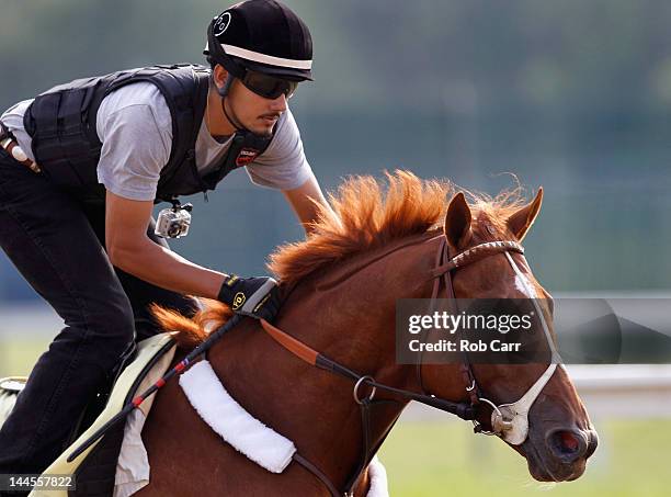 Exercise rider Jonny Garcia takes I'll Have Another over the track in preparation for the 137th Preakness Stakes at Pimlico Race Course on May 16,...