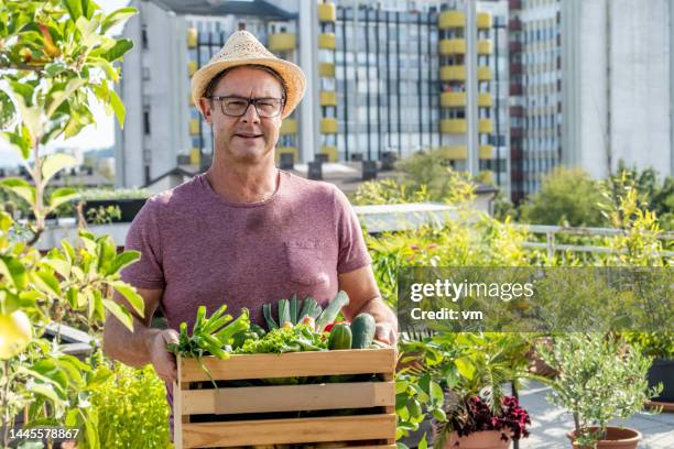 man showing off her crops in the wooden box - the roof gardens stock pictures, royalty-free photos & images