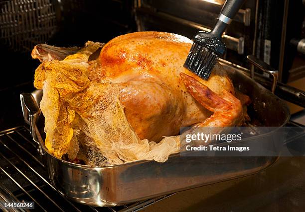 roast turkey - basted stock pictures, royalty-free photos & images