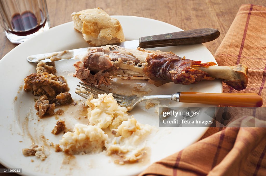 Studio shot of turkey leg with potatoes