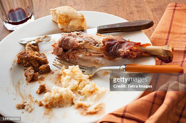 studio shot of turkey leg with potatoes - thanksgiving plate of food stock pictures, royalty-free photos & images