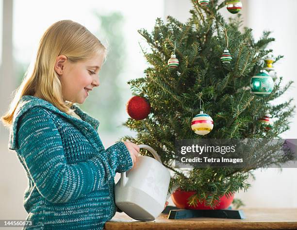 usa, new jersey, jersey city, girl watering christmas tree - christmas tree home stock pictures, royalty-free photos & images