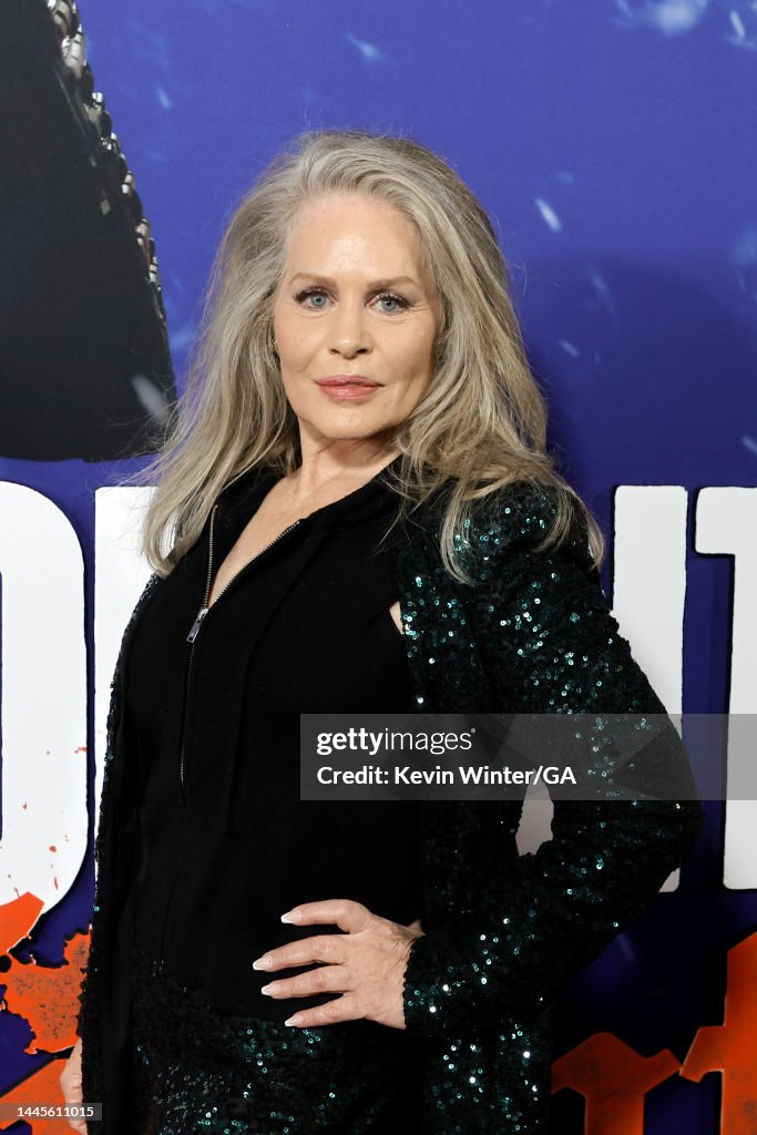 Beverly D'Angelo attends the premiere of Universal Pictures' "Violent