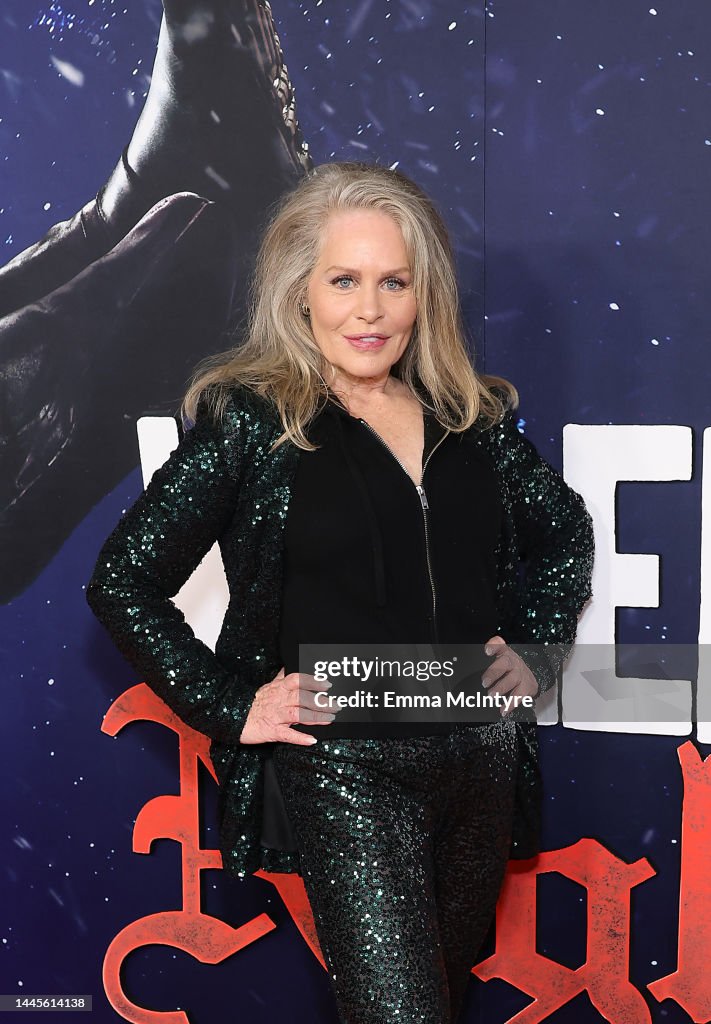 Beverly D'Angelo attends the premiere of Universal Pictures' "Violent