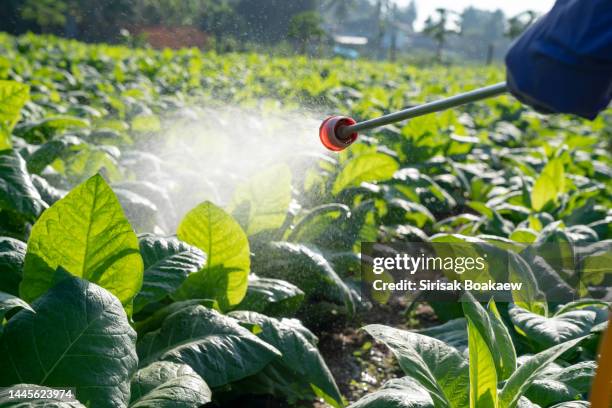 a farmer is spraying chemicals - sproeier stockfoto's en -beelden