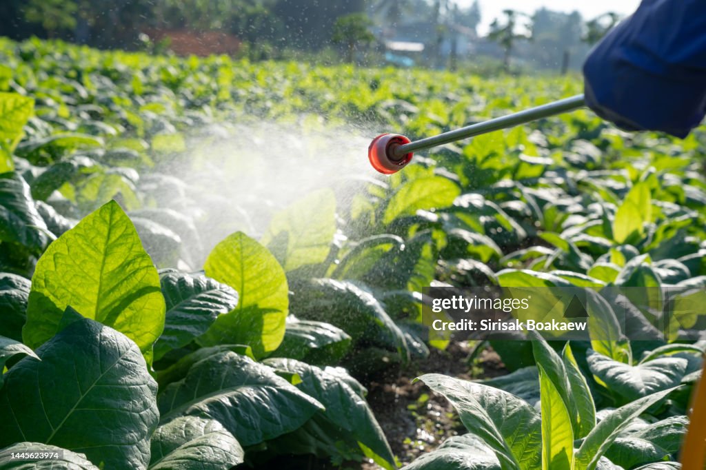 A farmer is spraying chemicals