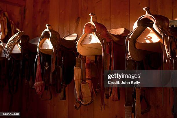 usa, colorado, saddles in barn - horse saddle stock pictures, royalty-free photos & images