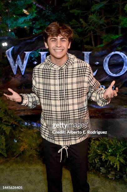 Ayden Mekus attends Lucasfilm and Imagine Entertainment's "Willow" Series Premiere in Los Angeles, California on November 29, 2022. The series debuts...
