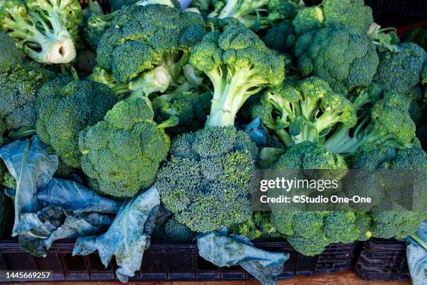 broccoli heads - tomato seeds stock pictures, royalty-free photos & images