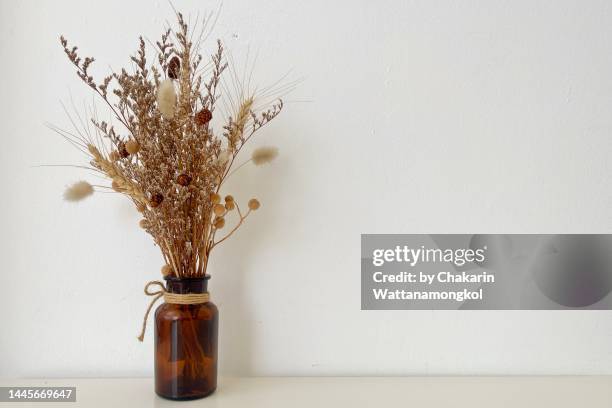 dried flower and grass in a vase - white background. - vertrocknete pflanze stock-fotos und bilder