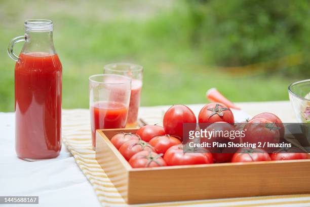 crops, agriculture, vegetable garden, farming, tomatoes, tomato juice - tomatensap stockfoto's en -beelden
