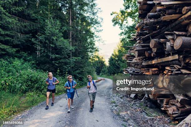 three teenagers hiking in the alps on sunny summer day - route 13 stock pictures, royalty-free photos & images