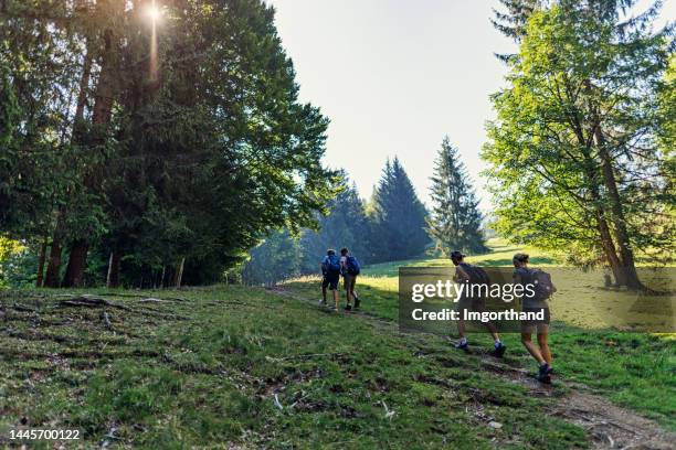 familienwandern im wald der alpen - tirol, österreich. - fun sommer berge stock-fotos und bilder