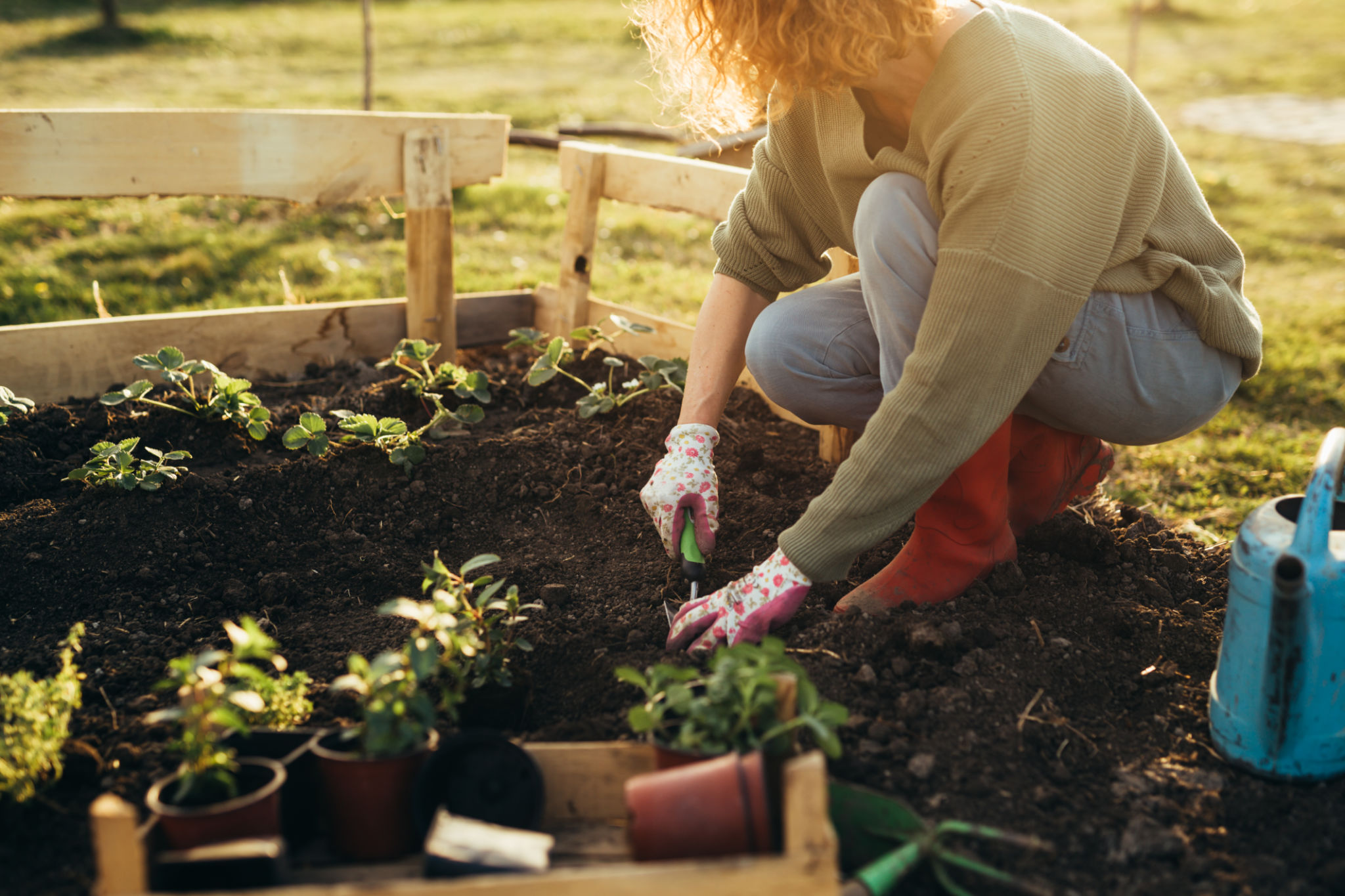 affordable eco-friendly gardening