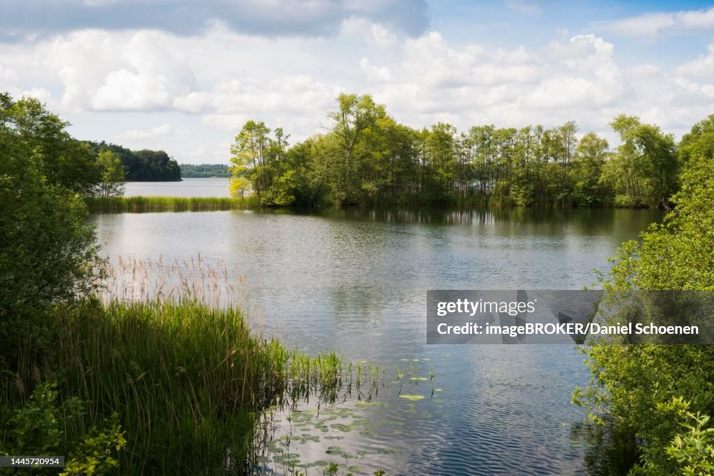 Schaalsee near Lassahn, Schaalsee, UNESCO Biosphere Reserve Schaalsee, Lauenburg Lakes, Mecklenburg-Western Pomerania, Germany