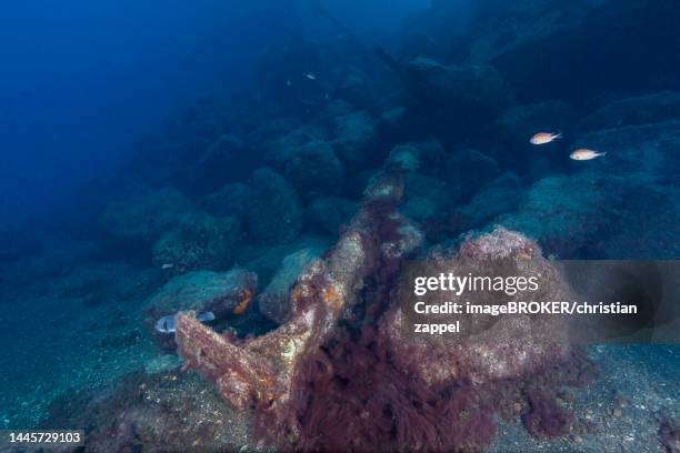 shipwreck near puerto del carmen, lanzarote. canary islands, spain - puerto del carmen stock pictures, royalty-free photos & images