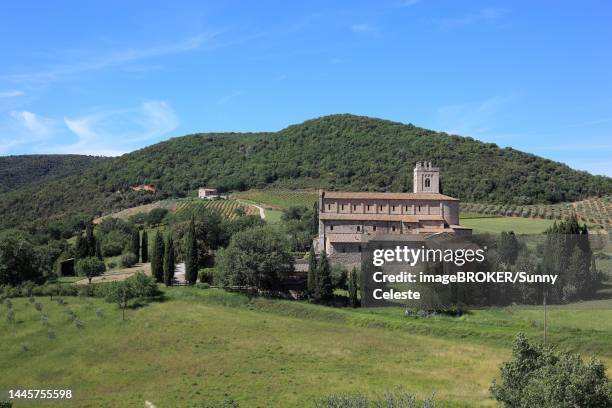 894 Dellabate Photos and Premium High Res Pictures - Getty Images 894 Dellabate Photos and Premium High Res Pictures - Getty Images