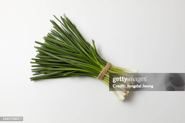 fresh organic green onion food - cebolla de primavera fotografías e imágenes de stock