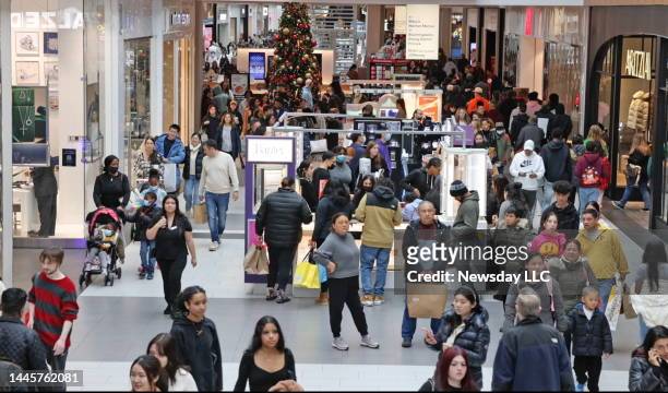 Holiday shoppers fill the Roosevelt Field Mall for Black Friday shopping on November 25 in Garden City, New York.